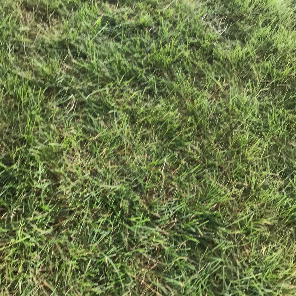 Meet your Posher, Nimmie